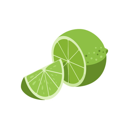 Vector illustration of a lime fruit with sliced segments showing fresh green citrus and juicy texture in a clean style, vibrant and fresh mood.のイラスト素材
