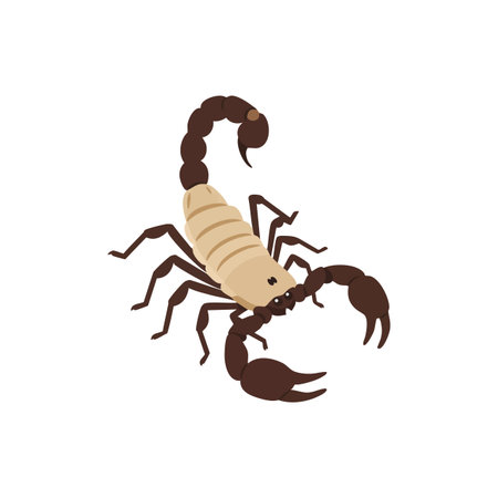 This vector shows a scorpion with segmented body and curved tail, displaying a natural pose in muted brown tones. Calm and distinctive.のイラスト素材