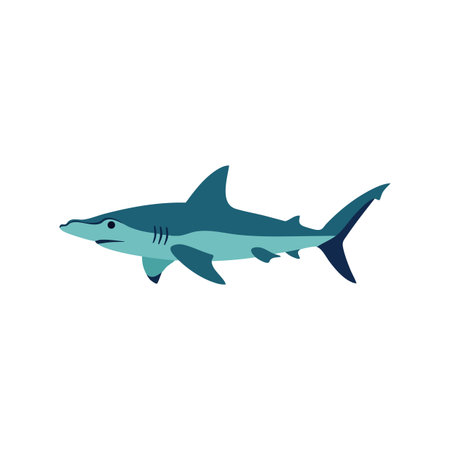 Vector shows a hammerhead shark with distinct blue and teal colors swimming in a simple style. Clean and modern marine design, calm mood.のイラスト素材