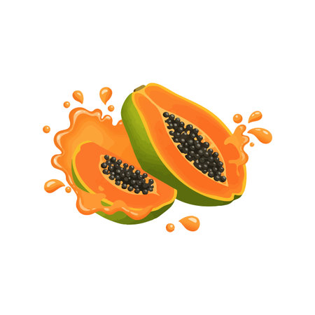 Illustration shows two papaya halves with black seeds and orange juice splash, presenting fresh tropical fruit in vibrant colors. Bright and lively.のイラスト素材