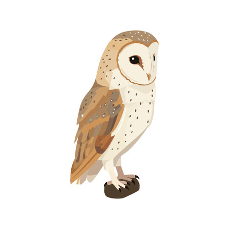 This vector shows a barn owl standing on a branch with realistic brown and beige feathers, conveying calm and natural mood.のイラスト素材