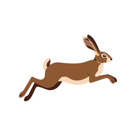 Illustration shows a brown hare leaping with extended legs and upright ears on a white background calm mood.のイラスト素材