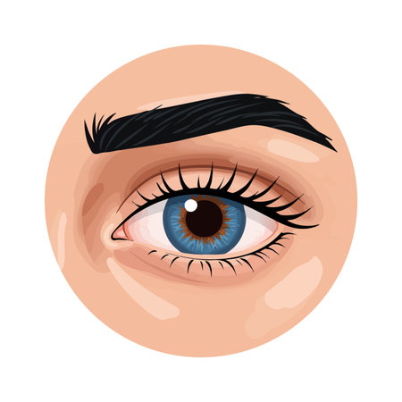 This vector illustration shows a closeup of a human eye with a blue iris and natural eyebrow in a circular frame, realistic and clear.のイラスト素材