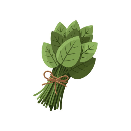 Illustration shows a fresh green herb bundle tied with string used in cooking and herbal remedies, presenting a natural and healthy theme. Calm.のイラスト素材