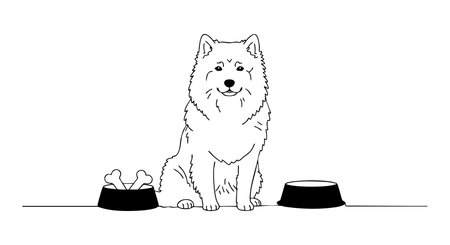 Illustration shows a Samoyed dog sitting calmly between two bowls, one containing bones, in a simple black and white style. Calm mood.のイラスト素材