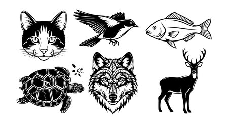 Vector features detailed black and white illustrations of cat, bird, fish, turtle, wolf, and deer in...
