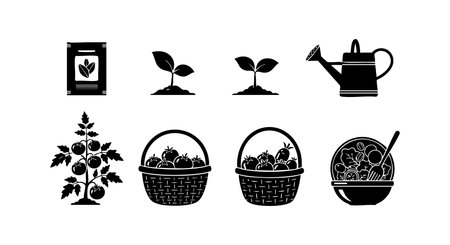 This vector illustration shows tomato plant stages, gardening tools, harvest baskets, and a tomato salad bowl, featuring a simple monochrome style. Calm mood.のイラスト素材