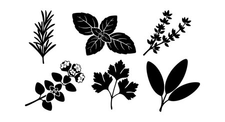 Silhouettes of different herbal leaves and branches displayed in black, showing diverse aromatic plant shapes in a simple style, elegant mood.のイラスト素材