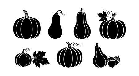 This vector shows black silhouette pumpkins and gourds with leaves in different shapes, perfect for autumn and Halloween themes, simple and festive mood.のイラスト素材