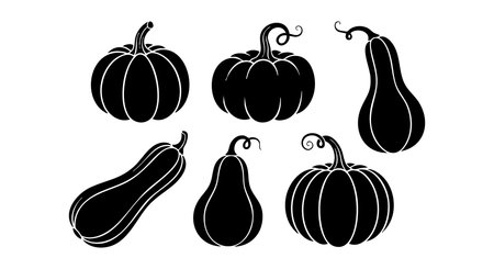 Vector illustration shows black silhouette shapes of pumpkins and gourds suitable for autumn and fall themes, presenting a seasonal mood.のイラスト素材