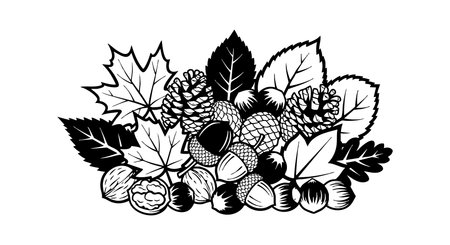 Black and white vector illustration of autumn leaves, acorns, and pinecones arranged in a cluster depicting fall season. Classic and natural mood.のイラスト素材