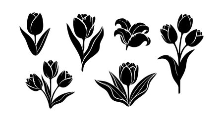 This vector set shows black silhouette tulip flowers with various shapes and arrangements, suitable for decoration and nature projects, elegant mood.のイラスト素材