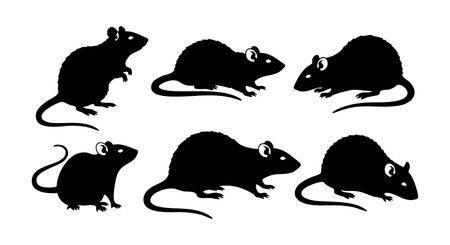This vector shows six black rat silhouettes in various poses and perspectives, highlighting different postures and shapes. The style is simple and clear, creating a bold, graphic effect. Calm.のイラスト素材