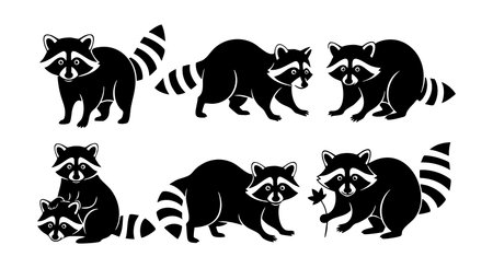 This vector features six black raccoon silhouettes in different playful and curious poses, perfect for creative wildlife designs and nature-themed projects. Charming and lively mood.のイラスト素材