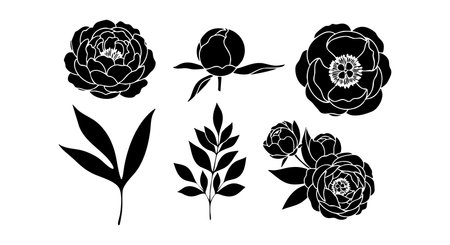 This vector features black silhouette peony flowers and leaves arranged in a decorative style, suitable for design projects and artistic use, presenting a classic and elegant mood.のイラスト素材