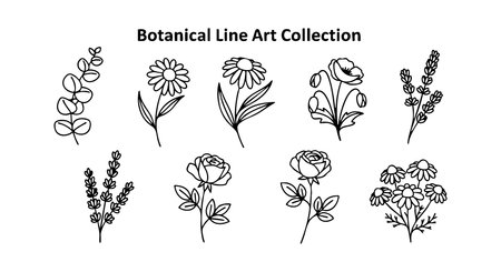 This botanical line art collection features simple black outlines of various flowers and plants. The minimalist style suits design and decoration projects. Elegant and clean mood.のイラスト素材