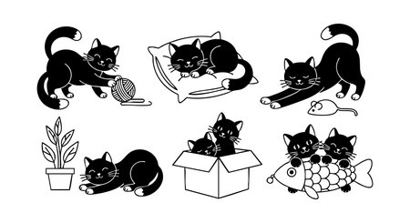 This vector shows black cats engaging in playful and restful activities with toys, a box, a pillow, and a plant. The scene is cute and charming.のイラスト素材