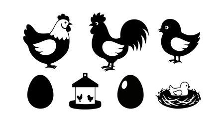 This vector image features black silhouettes of a chicken, rooster, hen, chick, eggs, birdhouse, and nest, portraying farm life elements in a simple and clear style. Calm and rustic.のイラスト素材
