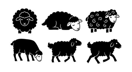 This vector features six black silhouette sheep in varied poses with curly wool, ideal for farm, animal, or nature-themed designs. Simple, clean, and versatile vector art. Calm mood.のイラスト素材