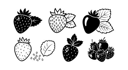 This vector features a variety of strawberry fruit icons with different leaf and seed details in black and white. The design suits decoration and creative projects. Simple and clean style. Cheerful.のイラスト素材