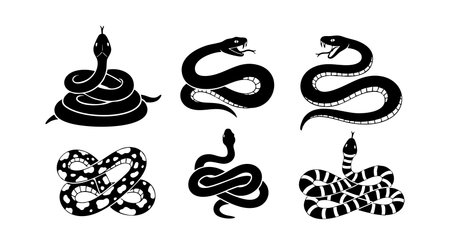 This vector features six black silhouette snake designs in various coiled and striking poses, ideal for wildlife and reptile-themed projects, conveying a bold and mysterious mood.のイラスト素材