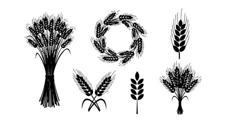 Set of black vector silhouettes featuring wheat ears in bundles, wreath, and single stalks representing agriculture and harvest season, with a clean minimalist style. Calm mood.のイラスト素材