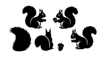 This vector set features multiple black squirrel silhouettes including front, side, and tail views along with an acorn, perfect for natural wildlife themed projects. Simple and bold design, elegant.のイラスト素材