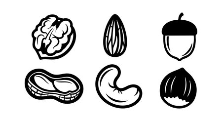 Vector icons show six different nuts including walnut, almond, acorn, peanut, cashew, and hazelnut in black and white style. Simple and clear design, versatile and clean. Minimalist mood.のイラスト素材