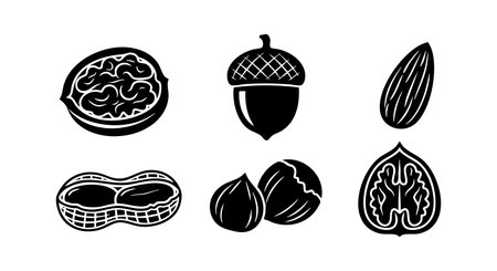This vector illustration shows a variety of nuts with detailed black ink drawings, including walnut halves, acorn, almond, peanut, and hazelnuts. Simple and natural style, clean design, minimalistic, artistic mood.のイラスト素材