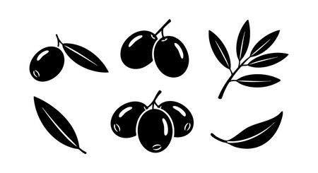 This vector set shows black olive fruits and leaves in simple style for natural and organic food design projects. The design is clean and minimal, creating a fresh mood.のイラスト素材