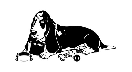 Vector shows a basset hound dog lying down next to a football, bowl, and bone in black and white style. The image conveys calm and playful mood.のイラスト素材