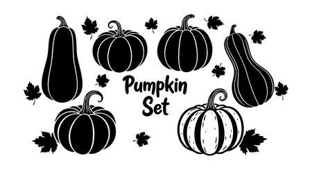 Vector illustration shows different pumpkin shapes with scattered leaves in black silhouette style, perfect for autumn and Halloween themes, creating a festive and cozy mood.のイラスト素材
