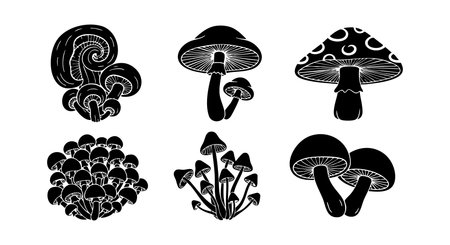 This vector image features black silhouette mushrooms with diverse fungi shapes and sizes arranged in a natural design composition. The style is clean and minimalistic, perfect for decoration. Calm.のイラスト素材