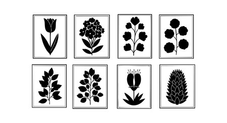 Vector images show various black silhouette flowers framed in rectangles with clean edges. The style is minimalistic and elegant. Calm mood.のイラスト素材