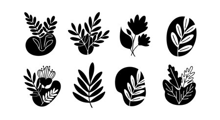 Vector set features black and white leaf shapes with abstract circles and natural elements in minimalist style, creating calm nature mood.のイラスト素材