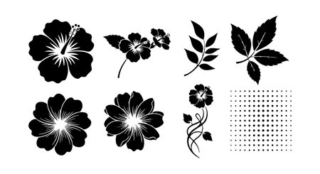 Vector set displays hibiscus flowers, leaves, and dotted pattern in black silhouette style, offering clean and versatile graphic elements, elegant mood.のイラスト素材