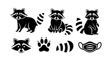 Black raccoon icons including face, full body poses, paw print, and face mask in simple silhouette style. Clean and minimalistic design, calm mood.のイラスト素材