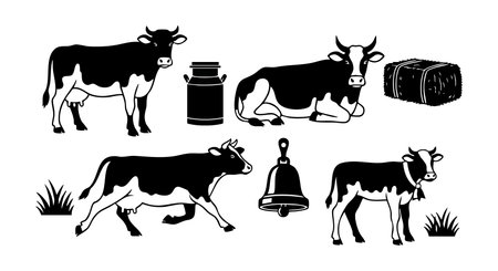 Vector illustration shows black and white cows with milk jar, bell, hay, and grass in simple flat style. Calm and rustic mood.のイラスト素材