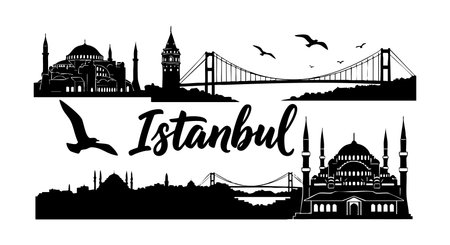 This vector features Istanbul's iconic mosque and bridge in black silhouette style with flying birds, capturing the cities skyline in a simple yet striking design, elegant mood.のイラスト素材