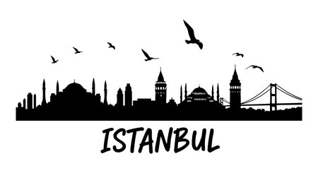 Black silhouette of Istanbul skyline features iconic buildings and flying birds in a clean vector style, evoking a serene and classic mood.のイラスト素材