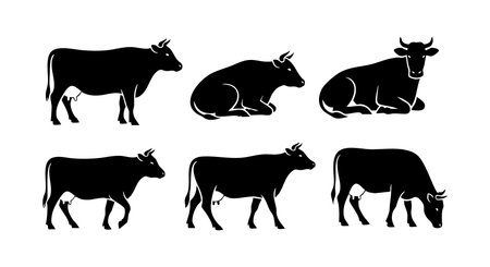 This vector features black cow silhouettes in different standing and lying positions, ideal for farm or livestock themed designs. Simple, bold, and versatile artwork, visually clear and minimalistic. Calm.のイラスト素材