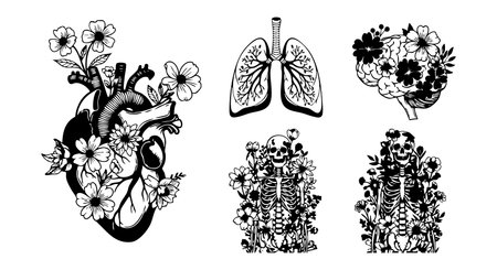 This vector features anatomical heart, lungs, and skeleton adorned with floral elements in black and white, blending medical precision with natural beauty. Artistic and detailed mood.のイラスト素材
