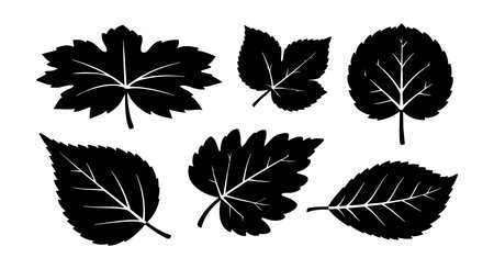 This vector features six black leaf silhouettes with distinct shapes and edges, ideal for decoration, design projects, and nature themes. The composition is simple and bold, elegant.のイラスト素材