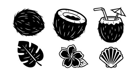 Set of black silhouette icons featuring coconut fruit, tropical leaf, flower, and shell in vector style, suitable for summer and beach-themed designs, clear and simple mood.のイラスト素材