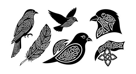 Vector set presents five birds and one feather with detailed Celtic patterns and tribal motifs, perfect for decorative art and design projects featuring traditional ornamental style. Elegant mood.のイラスト素材