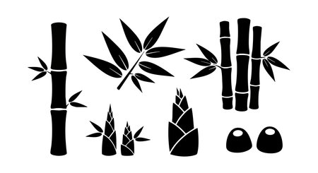 Vector graphic shows black silhouette bamboo stalks, leaves, shoots, and seeds arranged for creative use in design projects, giving natural and minimalistic vibe. Calm and simple.のイラスト素材