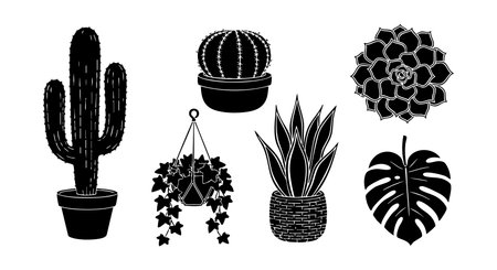 This vector illustration features black silhouette indoor cactus and succulent plants in pots with various shapes and textures showcasing plant diversity in a minimalist style calm.のイラスト素材