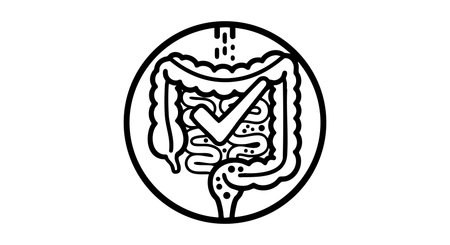 This vector illustration depicts a simplified digestive system with a check mark indicating good health or approval related to digestion and gastrointestinal wellness in a clean style.のイラスト素材