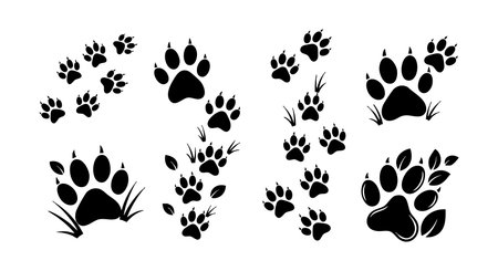 This vector illustration features multiple black animal paw prints scattered on a white background. The design presents various paw sizes and shapes with a clean silhouette style. It conveys a natural and playful mood.のイラスト素材