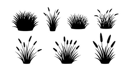 This vector illustration shows eight black silhouette grass and cattail plants with different shapes and heights on white background creating natural elements design calm peacefulのイラスト素材